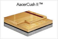 AacerCush II