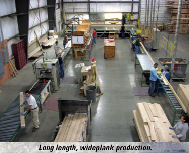 Aacer Production Plant * Wide Plank Flooring