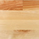 Yellow Birch